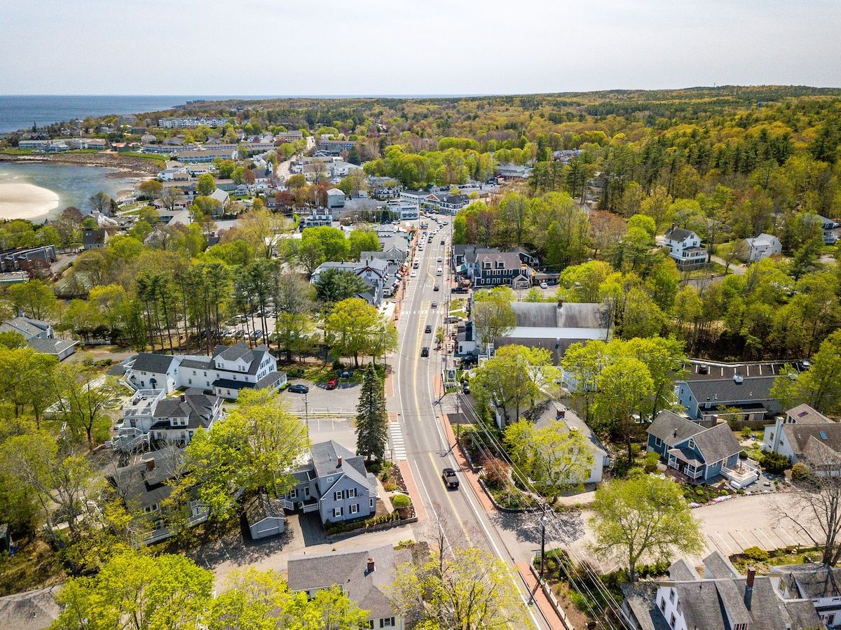 Aerial view of a small coastal town with a mix of residential and commercial buildings, surrounded by trees and a beach