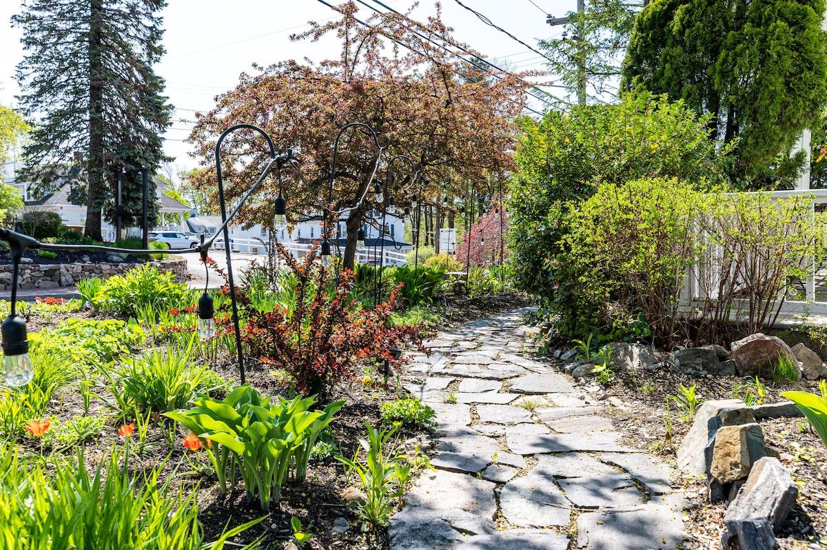 Stone pathway through a garden with trees and bushes on either side