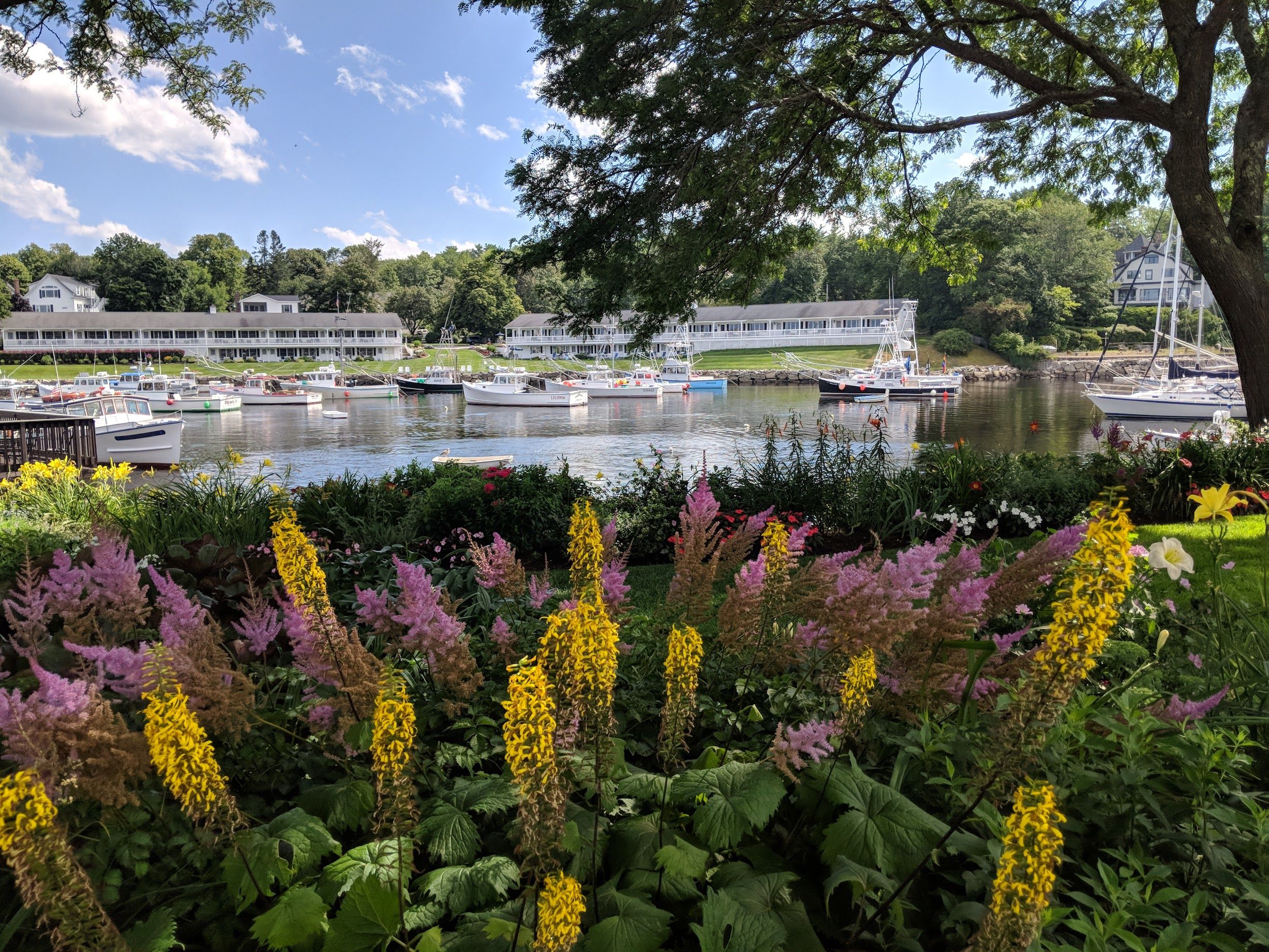 Perkins Cove
