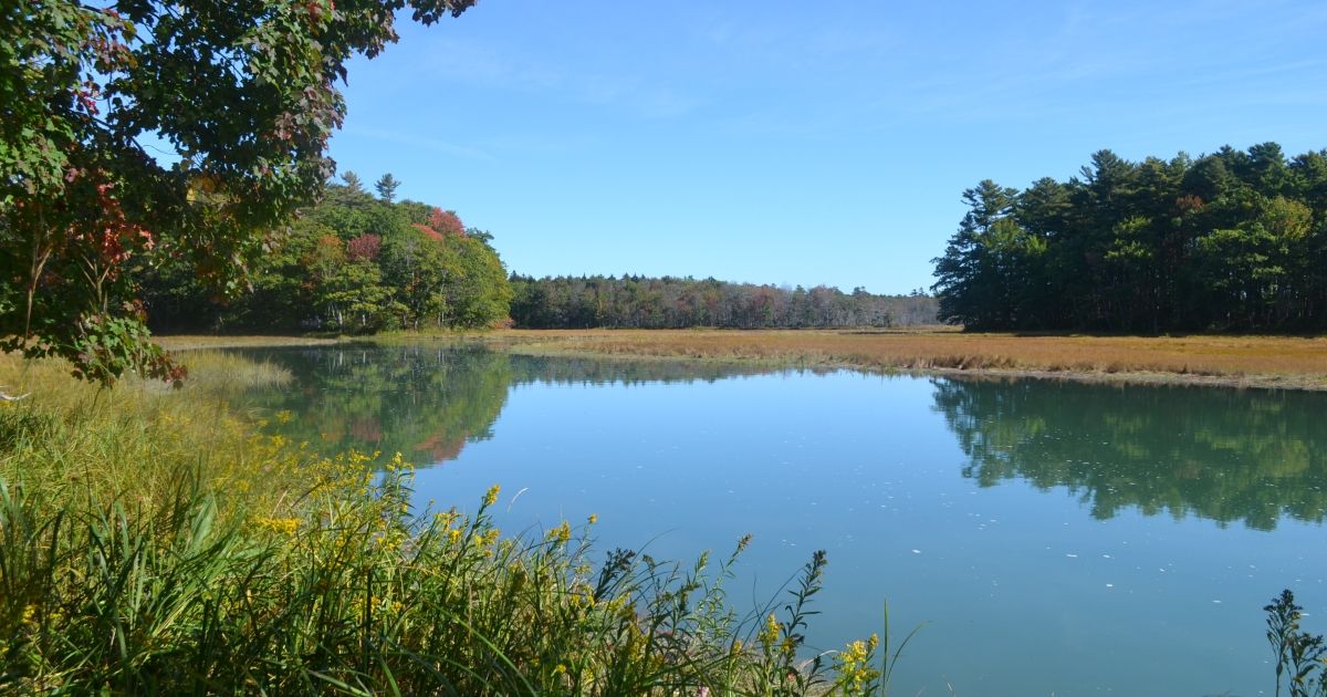 Rachel Carson National Wildlife Refuge