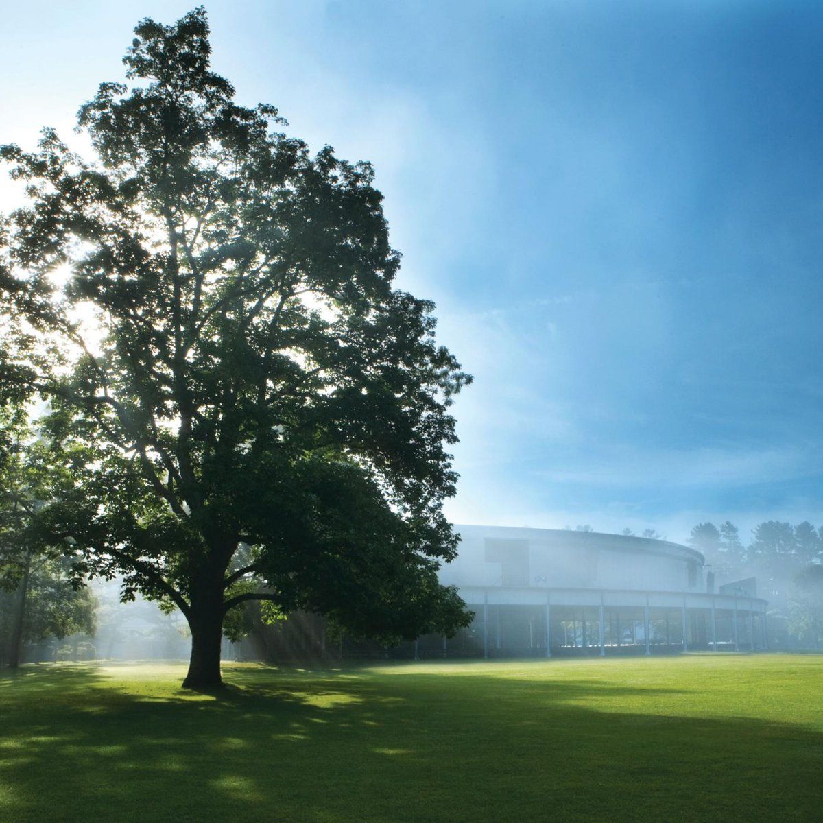 Tanglewood